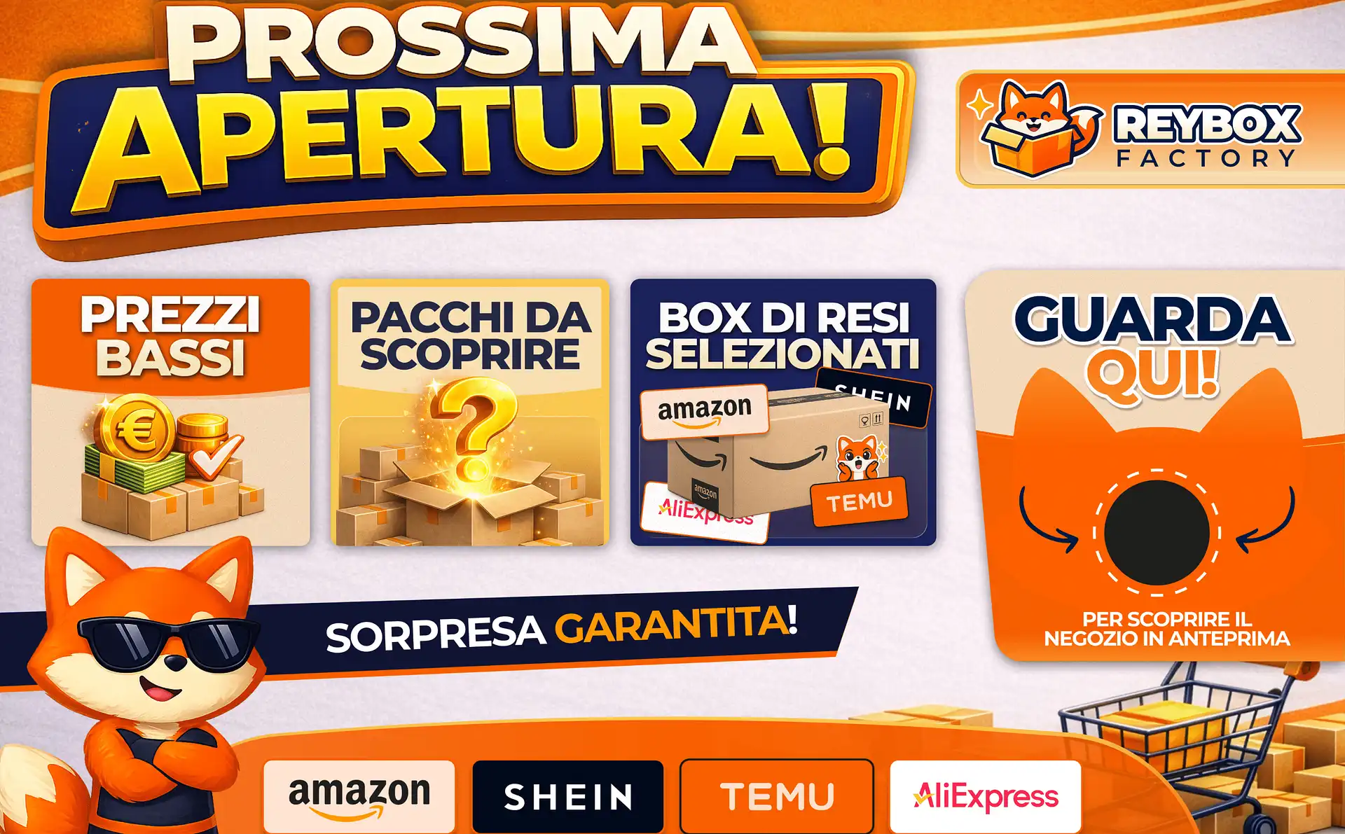 Raybox Factory — Brand · Sito · Meta Ads